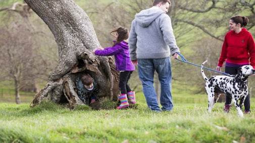 Family walking dog in parkland